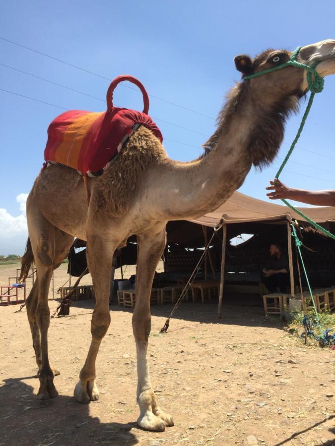 Riad Le Marrakech Berrima Marrakesh Eksteriør billede